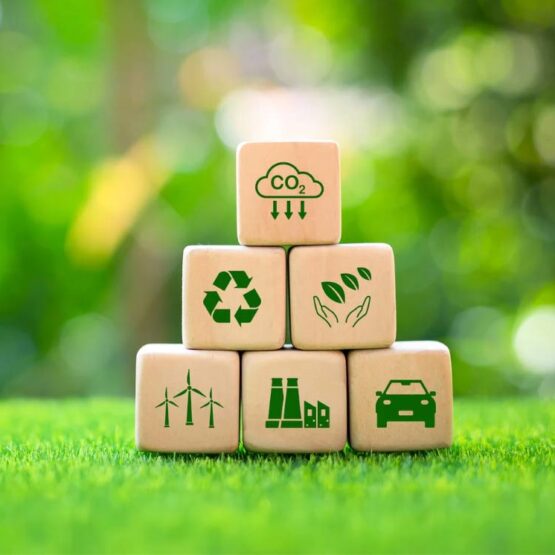 Medioambiente