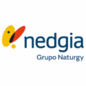 nedgia logo